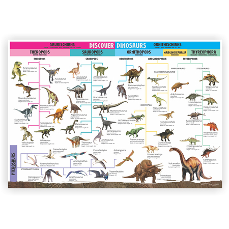 Wonders Of Learning Tin Set, Discover Dinosaurs TS03